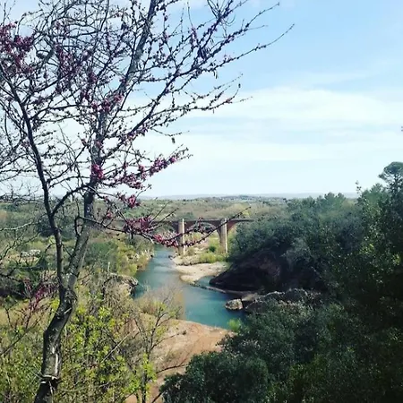 Agreable Vue Port Au Cap D'agde Appartement Agde