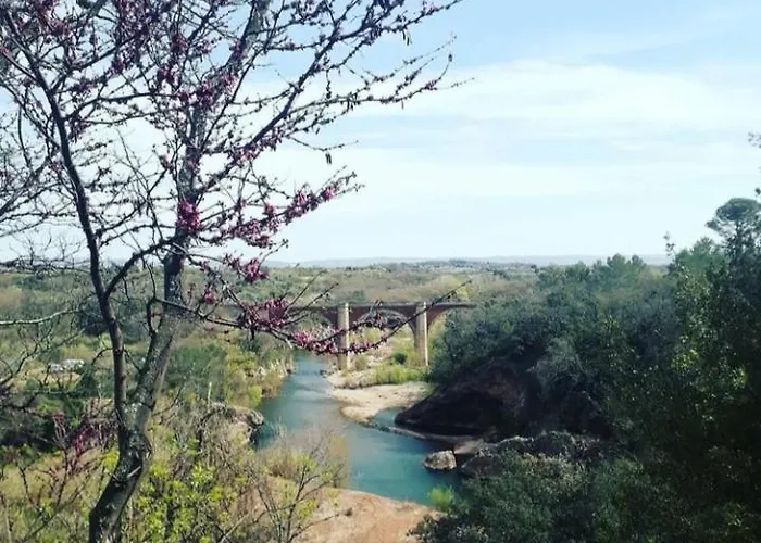 Agreable Vue Port Au Cap D'agde Apartment Agde